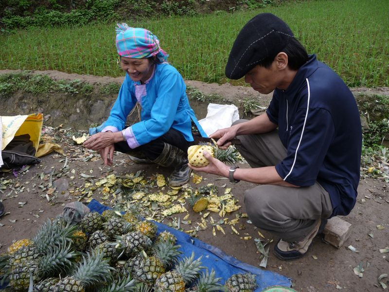Vente d'ananas sur le bord de la route - Epluchage