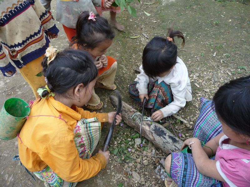 Enfants Hmongs manipulant la serpette
