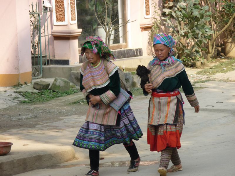 Hmongs fleuries allant au marché